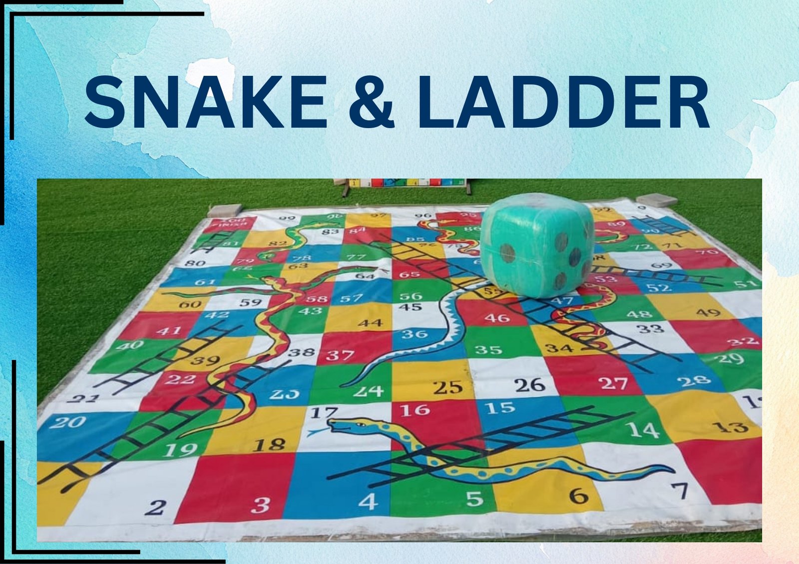 Snake & Ladder carnival game