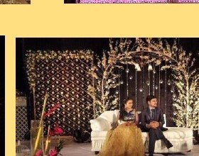 Branch & Crystal Stage Seating - Rajasthan Artist Booking Agency