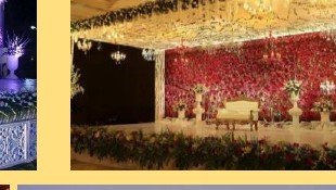 Reception Floral Wall Stage - Rajasthan Artist Booking Agency