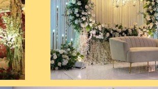 Greenery Arch Stage - Rajasthan Artist Booking Agency